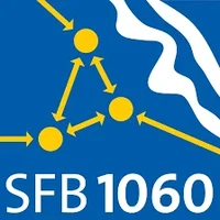 SFB