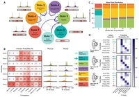 statistical_analysis_6